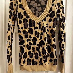Express Animal Print V-Neck Sweater